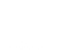 AXIAL 301 Manatee